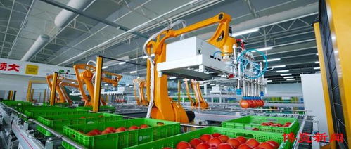 深讀淄博 智慧引領 淄博農(nóng)業(yè)數(shù)字化轉型加速推進