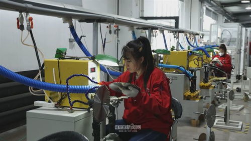 方正縣 為客戶(hù) 私人定制 新產(chǎn)品 彈射起步實(shí)現(xiàn)新春 開(kāi)門(mén)紅